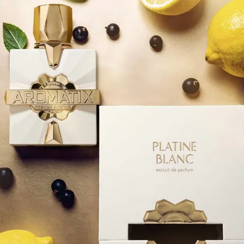 French Avenue Platine Blanc – Aromatix X by French Avenue | Eau de Parfum voor Heren (100 ml)