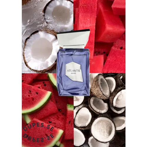 French Avenue Atlantis Extrait van French Avenue – Frisse citrusgeur met tropisch hart en warme basis – 100ml Extrait de Parfum