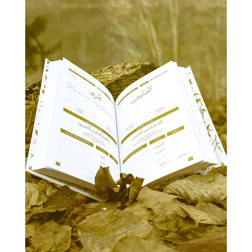 Quran-Trace Quran Roots – De Meest Populaire Woorden vermeld in de Koran