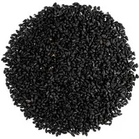 Zwarte Zaden (Nigella Sativa) – 100 Gram