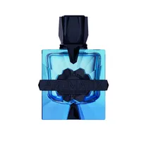 Magnetiq Eau de Parfum 100ml – French Avenue X Aromatix