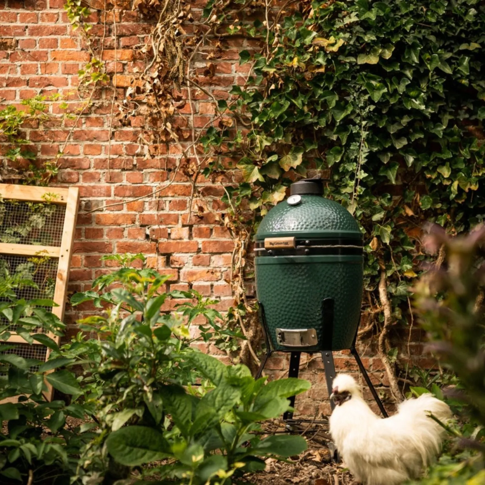 Big Green Egg Small + Nest