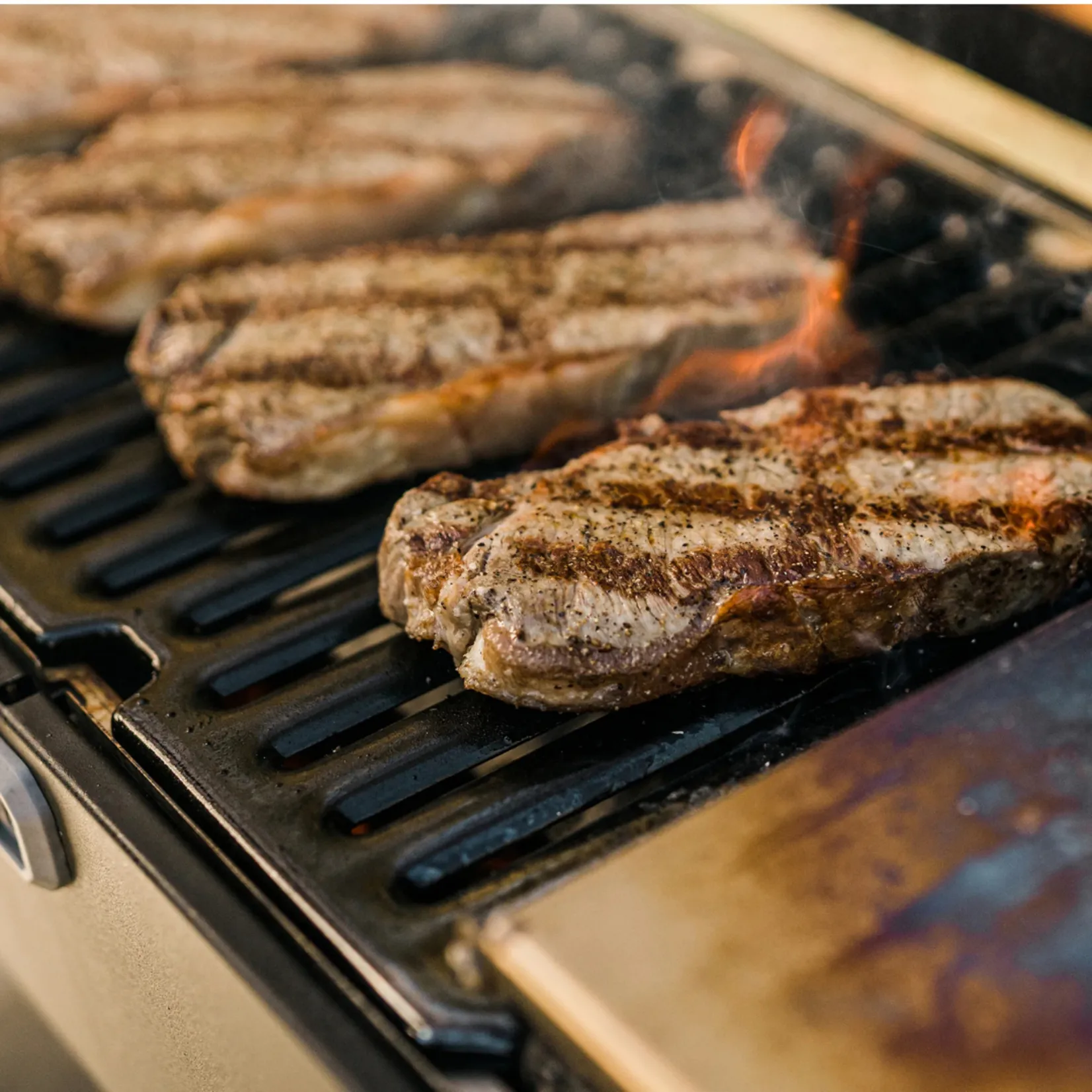 Masterbuilt Draagbare Koolgrill & Smoker