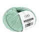 LANG Yarns LANG Yarns Poseidon 173 licht jade LANG Yarns LANG Yarns Poseidon 173 licht jade