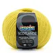 Sesia Scotland2 nr. 3482 Sesia Scotland2 nr. 3482