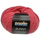 Sesia Bunny 2575 Sesia Bunny 2575