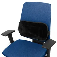 Lumbarfit Aufblasbare Rückenstütze
