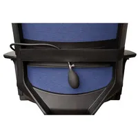 Lumbarfit Aufblasbare Rückenstütze