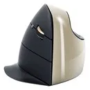 Evoluent C, hellgoldfarbene, kabellose, ergonomische Maus für Rechtshänder
