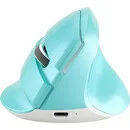 Delux Mini Mint Green – kabellose, ergonomische Maus für Rechtshänder