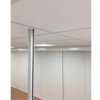 Ergopro Aluminium-Kabelsäule, mattschwarz lackiert (RAL 9005), Ø 50 x 3000 mm