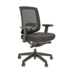 Ergopro Adaptive Bürostuhl – Netzgewebe