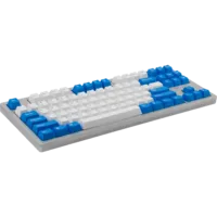 Mistel PBT OEM Keycaps für X-VIII