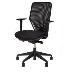 Ergopro Ergonomischer Bürostuhl „Basic“