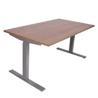 Ergopro NPR 1813 Sitz-Steh-Schreibtisch 62–127 cm, inkl. kostenloser Montage – Silbergrau