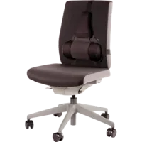 Fellowes Professional Series ultimative Rückenstütze
