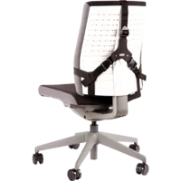 Fellowes Professional Series ultimative Rückenstütze