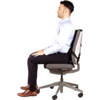 Fellowes Professional Series ultimative Rückenstütze