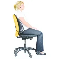 Fellowes Office Suites™ Mesh Rückenstütze