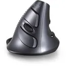 Delux Wow Grip Maus kabellose rechtshändige ergonomische Maus - anthrazit
