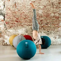 Vluv BOL LEIV Sitzball Silver Grey