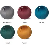 Vluv BOL VARM Sitzball Pacific