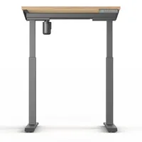 Ergopro StudyDesk Sitz-Steh-Schreibtisch 73–118 cm