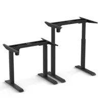 Ergopro StudyDesk Sitz-Steh-Schreibtisch 73–118 cm