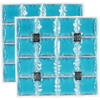 INUTEQ PCM Coolpac 16 Zellen Einsätze für Bodycool Pro Neoprene - 2 Stück