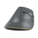 BakkerElkhuizen FastForward ergonomische Maus