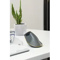 BakkerElkhuizen FastForward ergonomische Maus