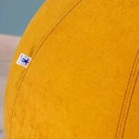 Ergopro SITZ_ON BALL65 Mango - Sitzball