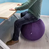 Ergopro SITZ_ON BALL65 Lavender - Sitzball