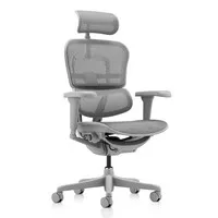 Comfort Ergohuman Ultra Bürostuhl mit Kopfstütze, grau