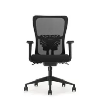 Schaffenburg NEN-Bürostuhl der Serie 250 mit Netzrückenlehne – schwarz