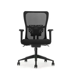 Schaffenburg NEN-Bürostuhl der Serie 250 mit Netzrückenlehne – schwarz