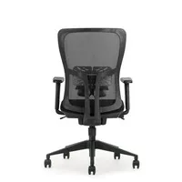 Schaffenburg NEN-Bürostuhl der Serie 250 mit Netzrückenlehne – schwarz