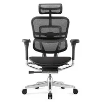 Comfort Ergohuman Elite2 Bürostuhl mit Stoffsitz, schwarz