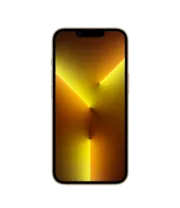iPhone 13 Pro 256GB Goud