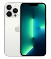 iPhone 13 Pro Max 256GB Zilver