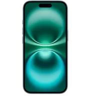 iPhone 16 256GB Grün