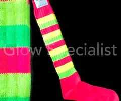 UV / BLACKLIGHT NEON VOETBALSOKKEN / KNIEKOUSEN - GESTREEPT