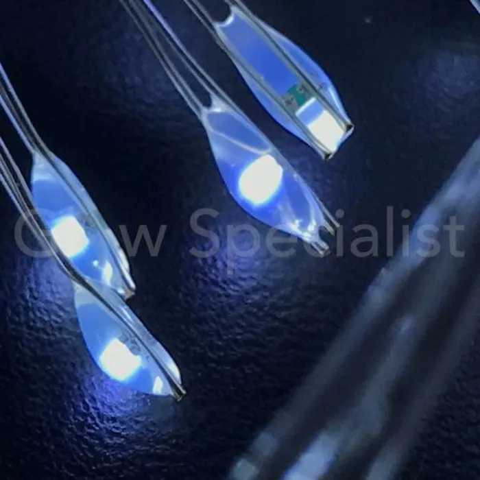 ZILVERDRAAD VERLICHTING - 40 LED - WIT