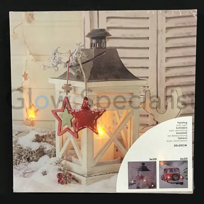 CANVASDOEKEN MET LED 30 X 30CM - SET VAN 2