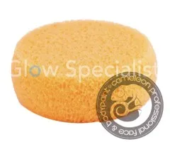 Cameleon CAMELEON YELLOW MAKEUP SPONGE - STEVIG - YS3