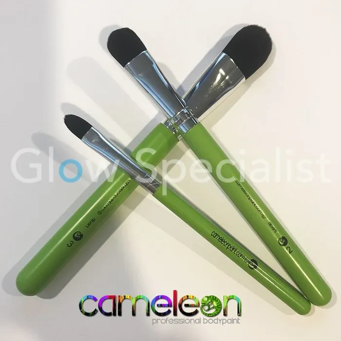 Cameleon CAMELEON FILBERT PENSEEL - NR 2 - MEDIUM