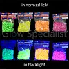 UV/BLACKLIGHT STONES - 500 GR - 4 COLORS