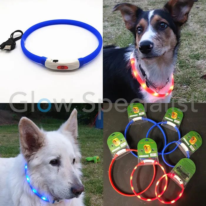 LED HALSBAND VOOR HONDEN - OPLAADBAAR MET USB KABEL - ROOD - 3 MATEN
