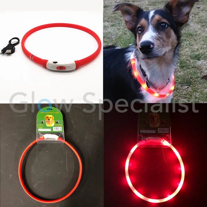 LED HALSBAND VOOR HONDEN - OPLAADBAAR MET USB KABEL - ROOD - 3 MATEN
