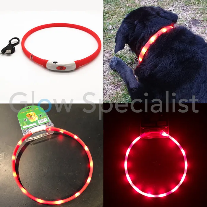 LED HALSBAND VOOR HONDEN - OPLAADBAAR MET USB KABEL - ROOD - 3 MATEN
